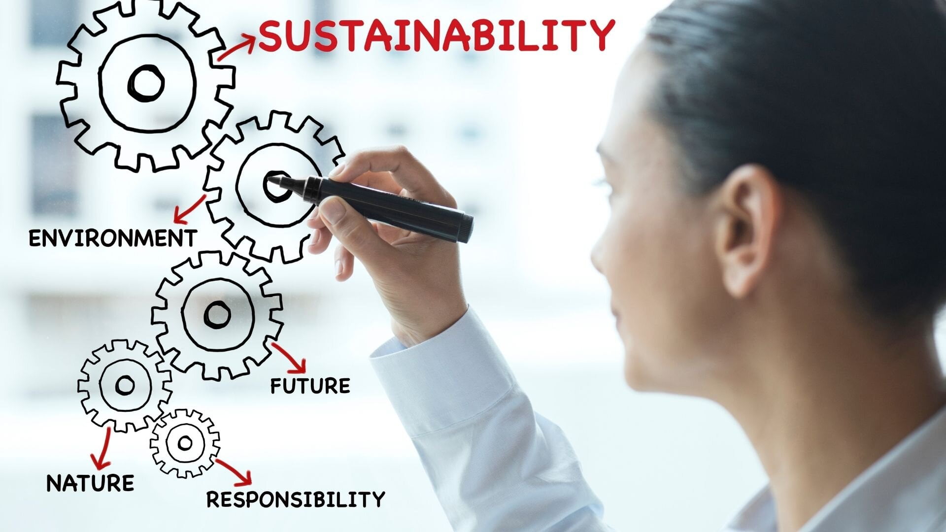 Sustainability+Plan